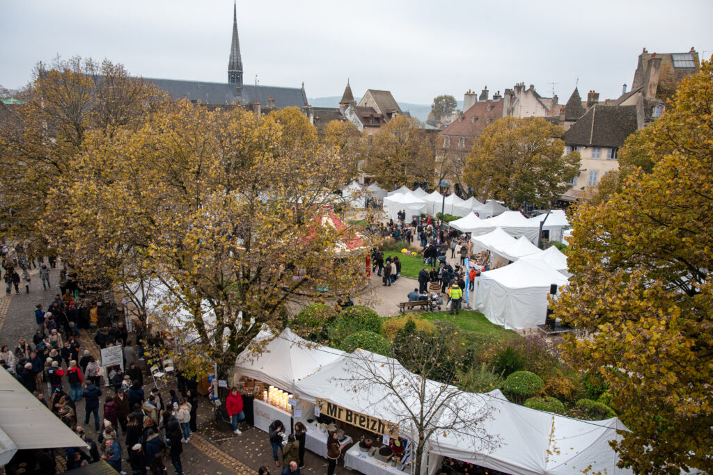 Les Festivinales de la Vente des Vins 2024