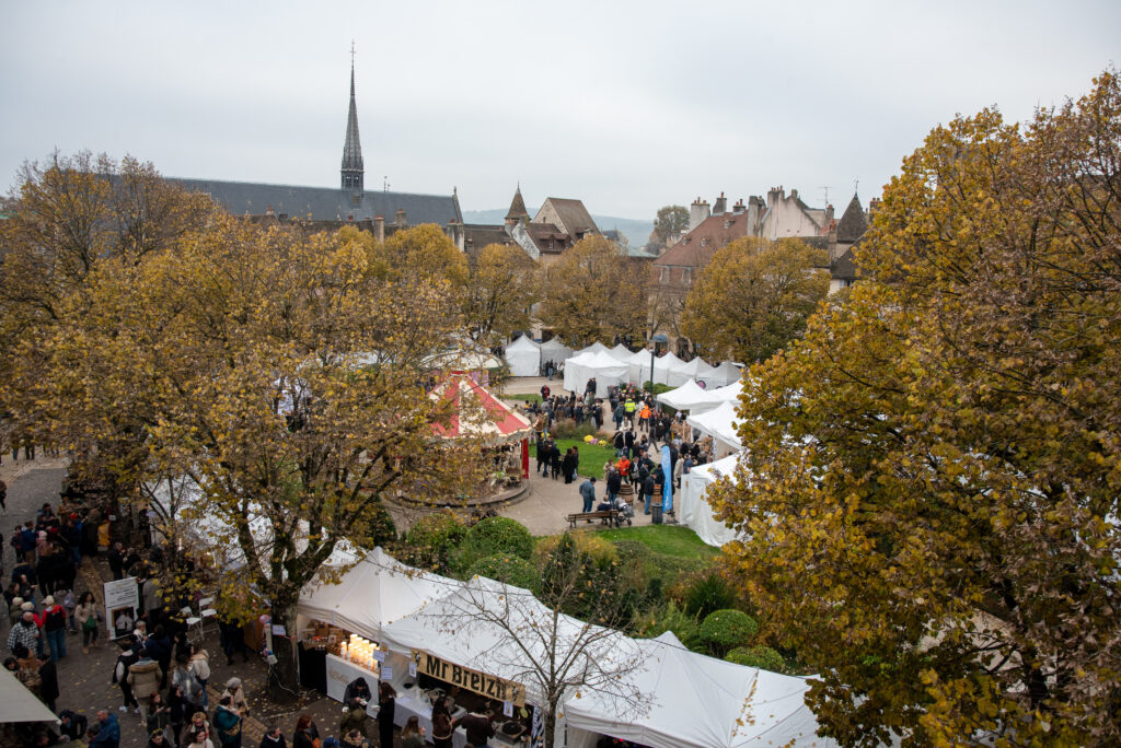 Les Festivinales de la Vente des Vins 2024